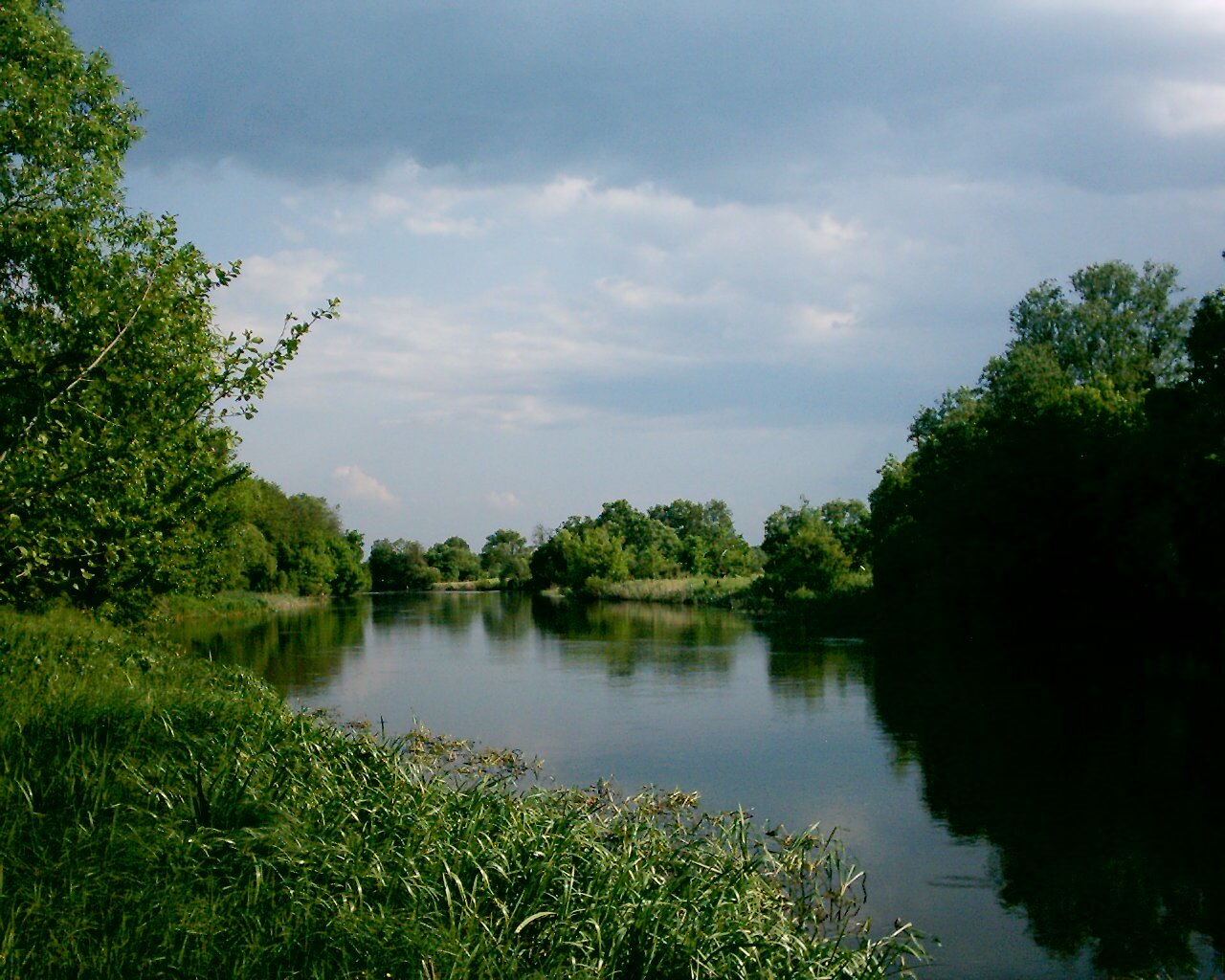 Річка Рось на Черкащині втрачає водність